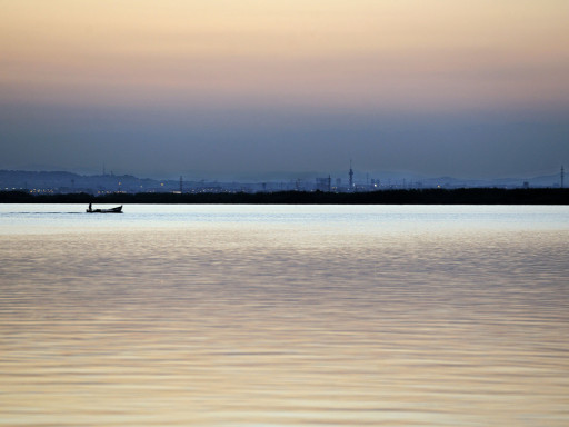 Albufera. Valencia. 2010.